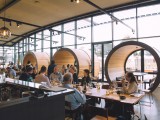 Levntine Hill Winery